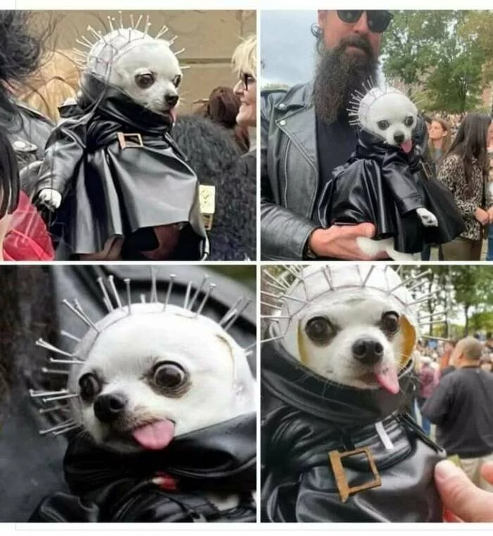 Hellraiser - Dog, Rising from Hell, Pinhead, Repeat, Hellraiser