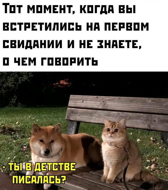 Неловкое молчание усилилось