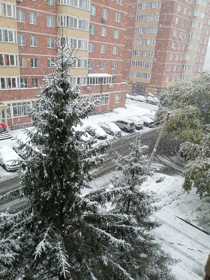 Внезапный снег башка Снег, Внезапно, Новосибирск