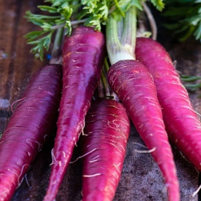 Historie mrkve Zajímavé, Mrkev