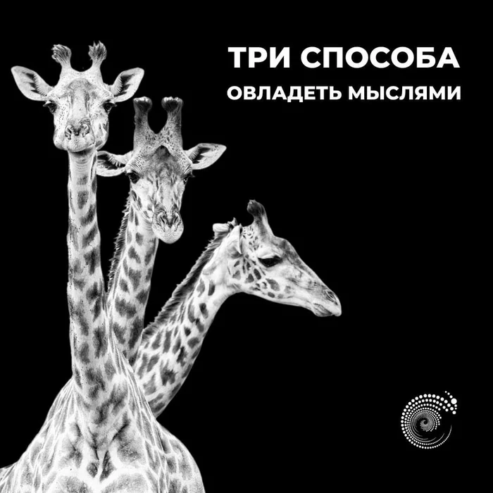 3 способа овладеть мыслями - Сгм, Психология, Психологическая помощь, Упражнения, Внимание