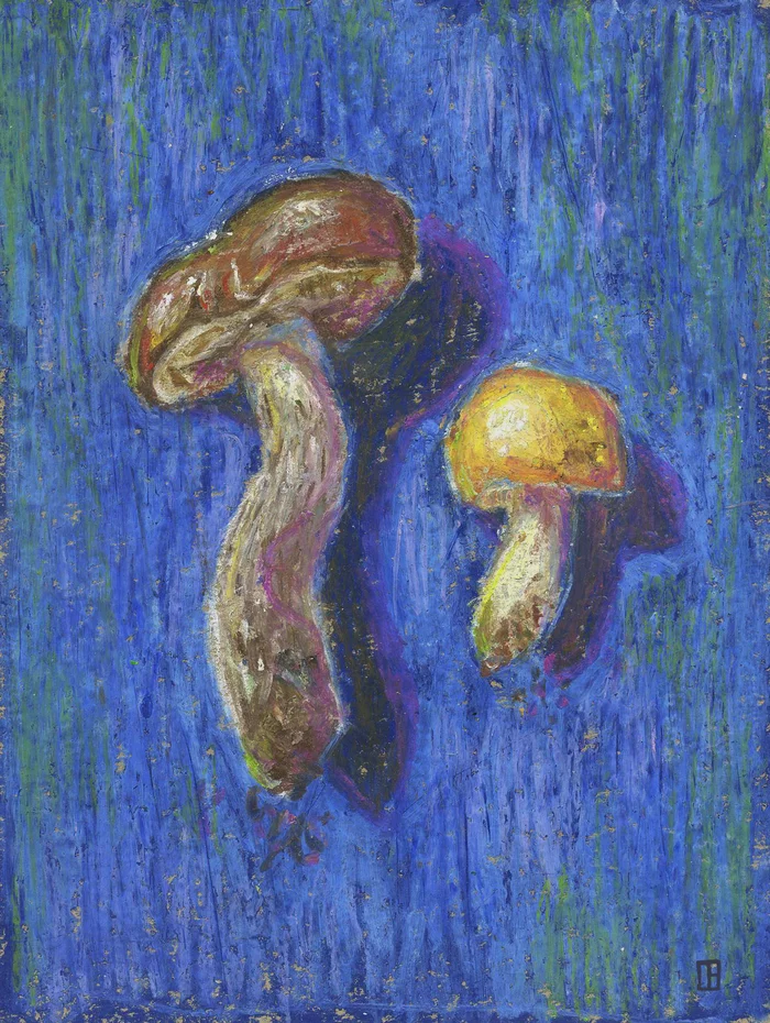 summer mushrooms - My, Drawing, Painting, Art, Pastel, Artist, Mushrooms, Forest