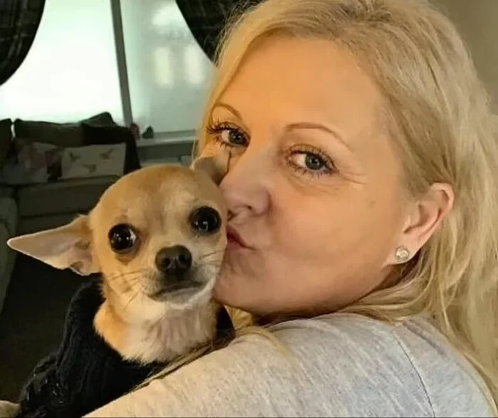 British woman rushed to hospital after dog pissed in her mouth - Dog, Chihuahua, Bristol, Diarrhea, Feces, Fail, Failure