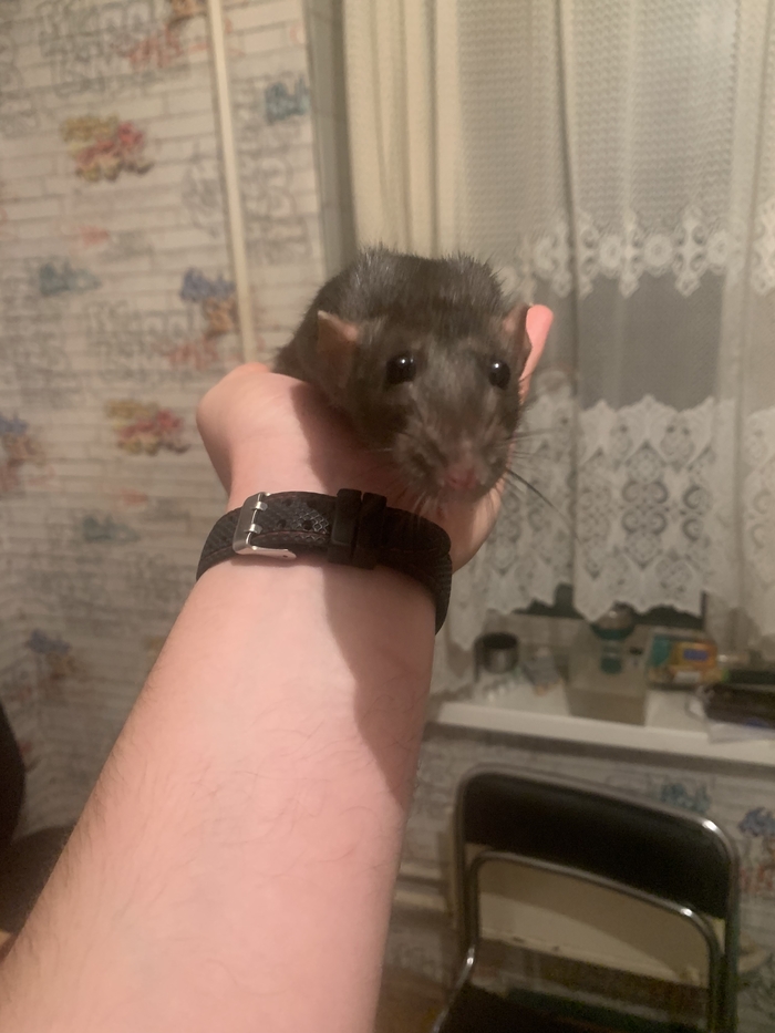 А стоит ли ?