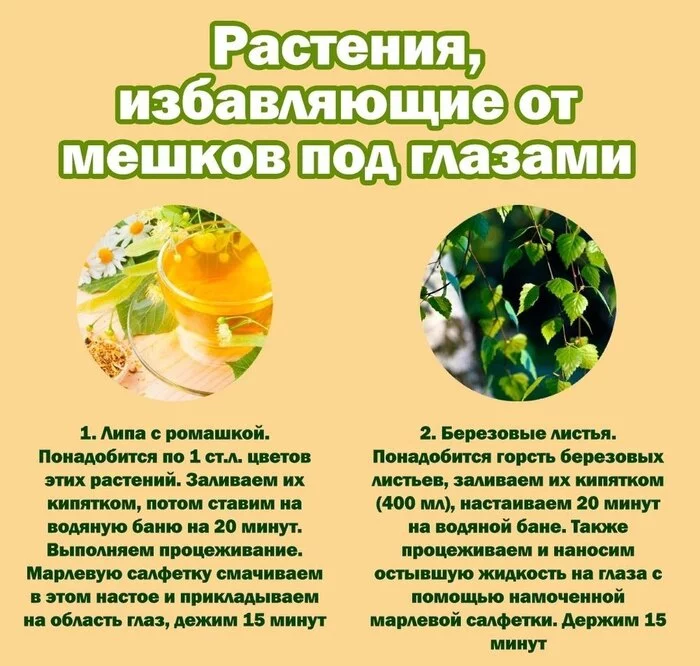 Plants to get rid of bags under the eyes - Health, Bags under the eyes, Healthy lifestyle, Medications, Disease, Plants, Picture with text