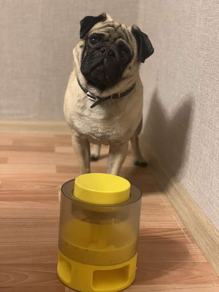 �������� ��� �����