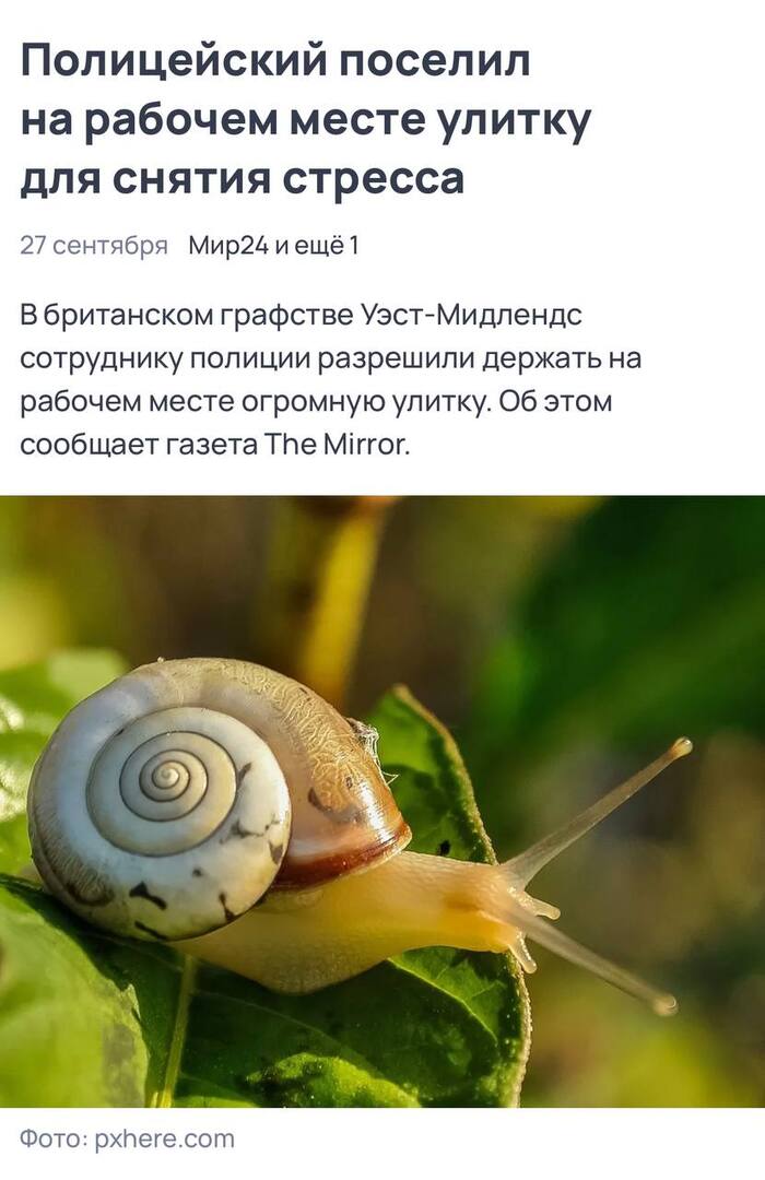            , , 2022, , ,  , 