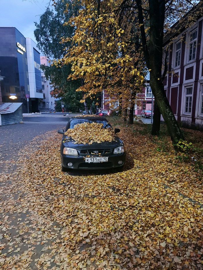 ,  , , 