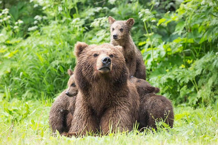 Господи! Ну когда же они вырастут?