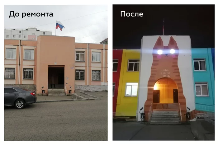 Sleepless cat appeared in Chelyabinsk - My, Chelyabinsk, Housing and communal services, Urbanism, Town, Registration, cat