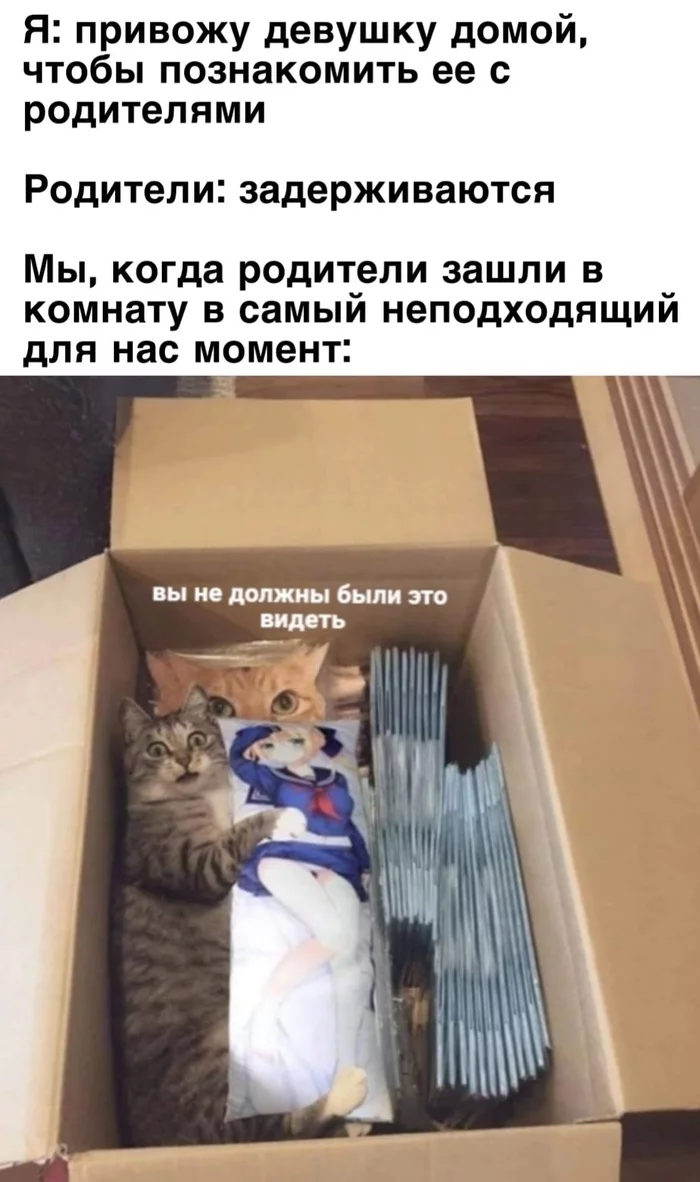 burned - cat, Palevo, Toys, Picture with text