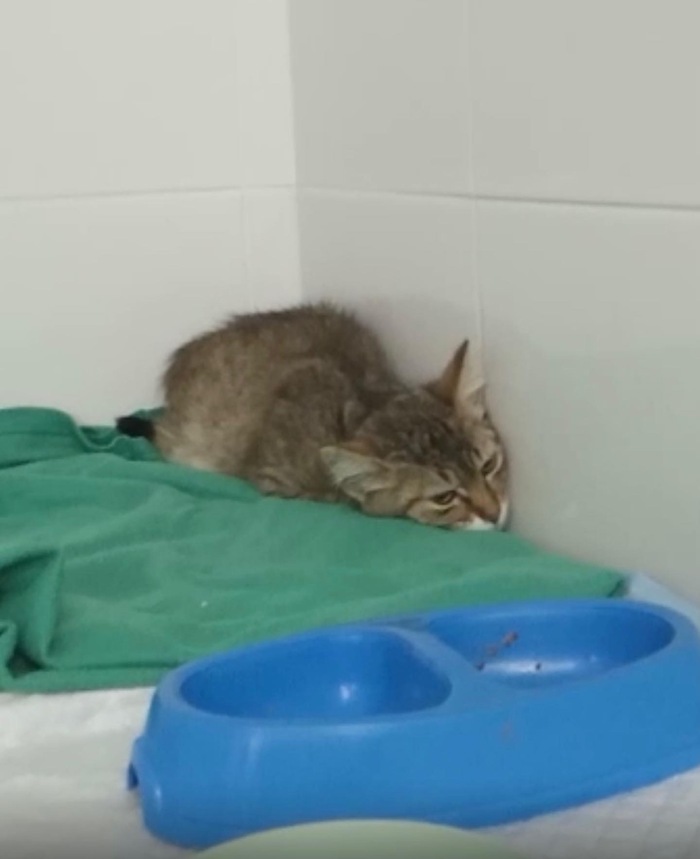 ������� ����� �������� �� ����������� �������!