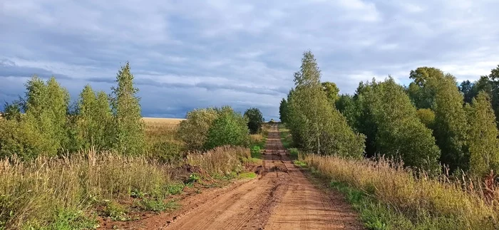 Осень в полях - Кировская область, Осень, Туман, Поле, Длиннопост