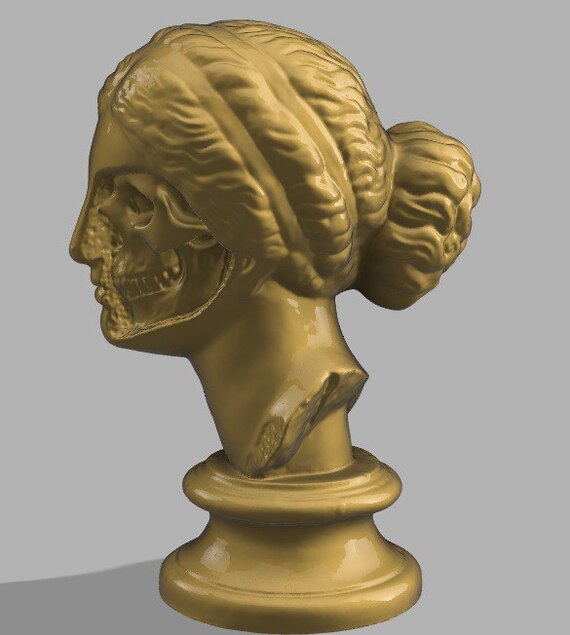 FIRST 3D SCAN OF A BUST - My, 3D modeling, 3D печать, 3D printer, Blender, Decor, Figurines, Sculpture, Auto, Tuning, Longpost