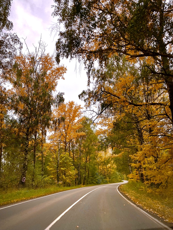 Осень в Тульской области