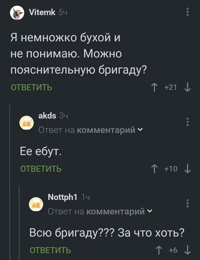 И правда, за что? - Скриншот, Юмор, И поясните мне, Мат, Комментарии на Пикабу