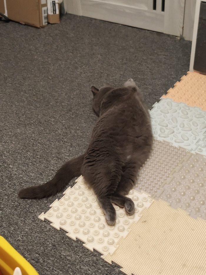   ,    ,  ,   , 