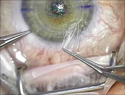 Ответ на пост «Вызов принят»