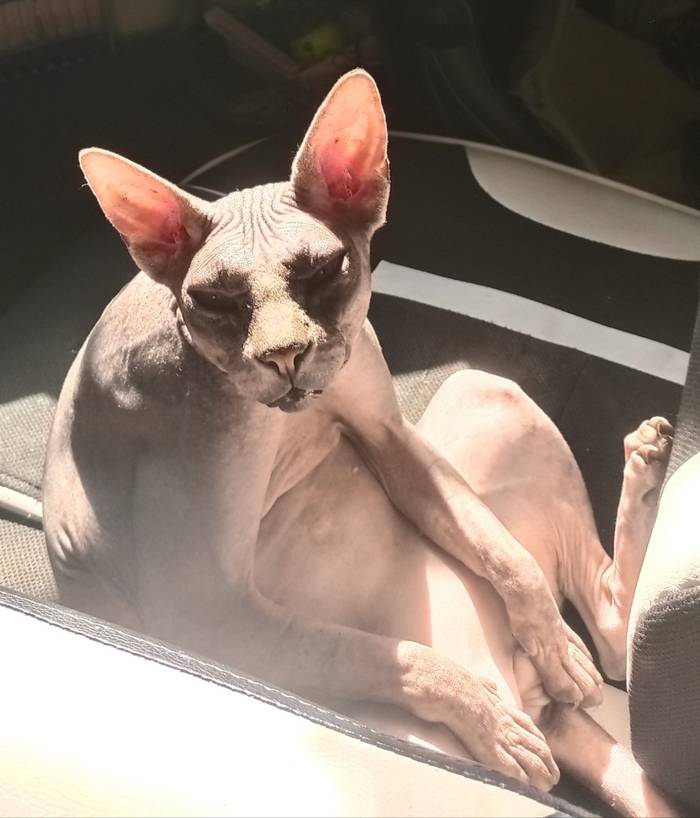 ����� �� ���� ���� ��� ��� ��� +10 ��� ��������!�