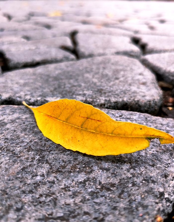 Ƹ���� ���� �������...