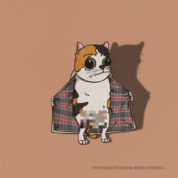 Четыре котика (не манулы, но все же) Procreate, Иллюстрации, Комиксы, Котята, Кот, Набросок, Начинающий художник, Скетч, Digital, Длиннопост