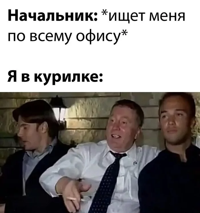 Work is not a wolf - Humor, Vladimir Zhirinovsky, Work, Smoking, Smoking room