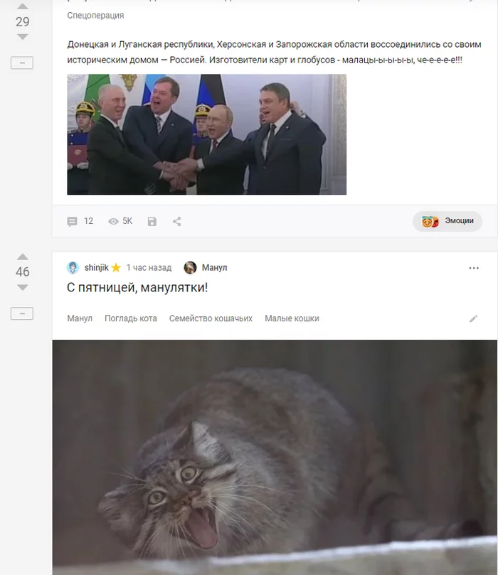 Smart Tape - Pallas' cat, Vladimir Putin, Politics, Smart tape