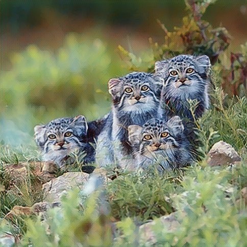 Tupnitsa! - Pallas' cat, Pet the cat, Cat family, Small cats, Wild animals, Fluffy, The photo