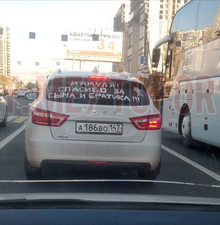 В Петербурге происходит что-то очень странное Сын, Братья, Надпись на машине, Инцест