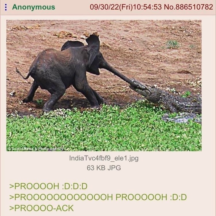 ���������������