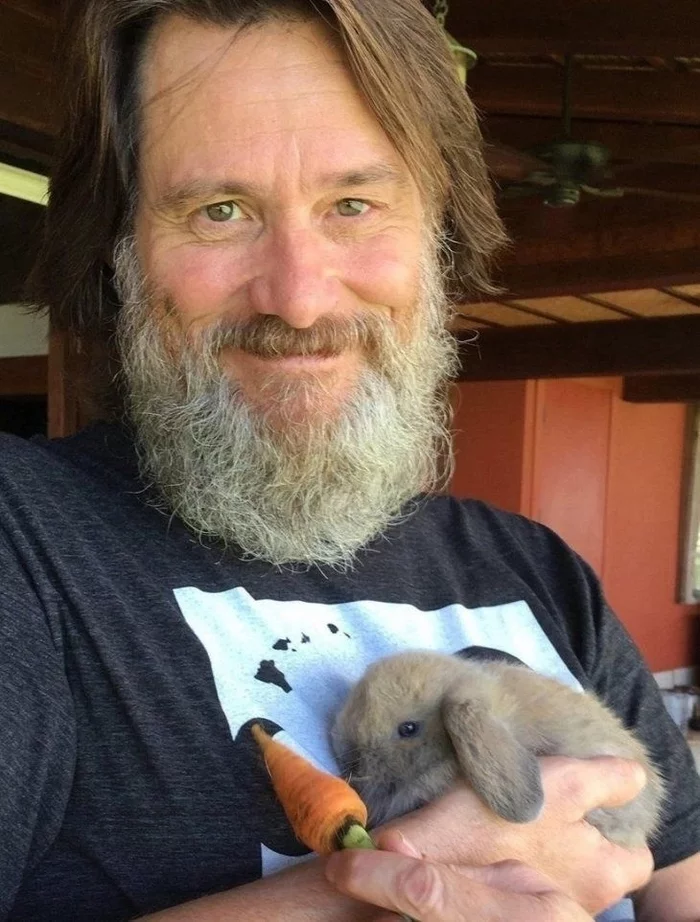 Just a photo of a bearded Jim Carrey with a rabbit - The photo, Jim carrey, Actors and actresses