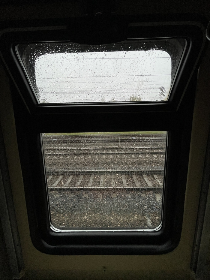 ��� �������