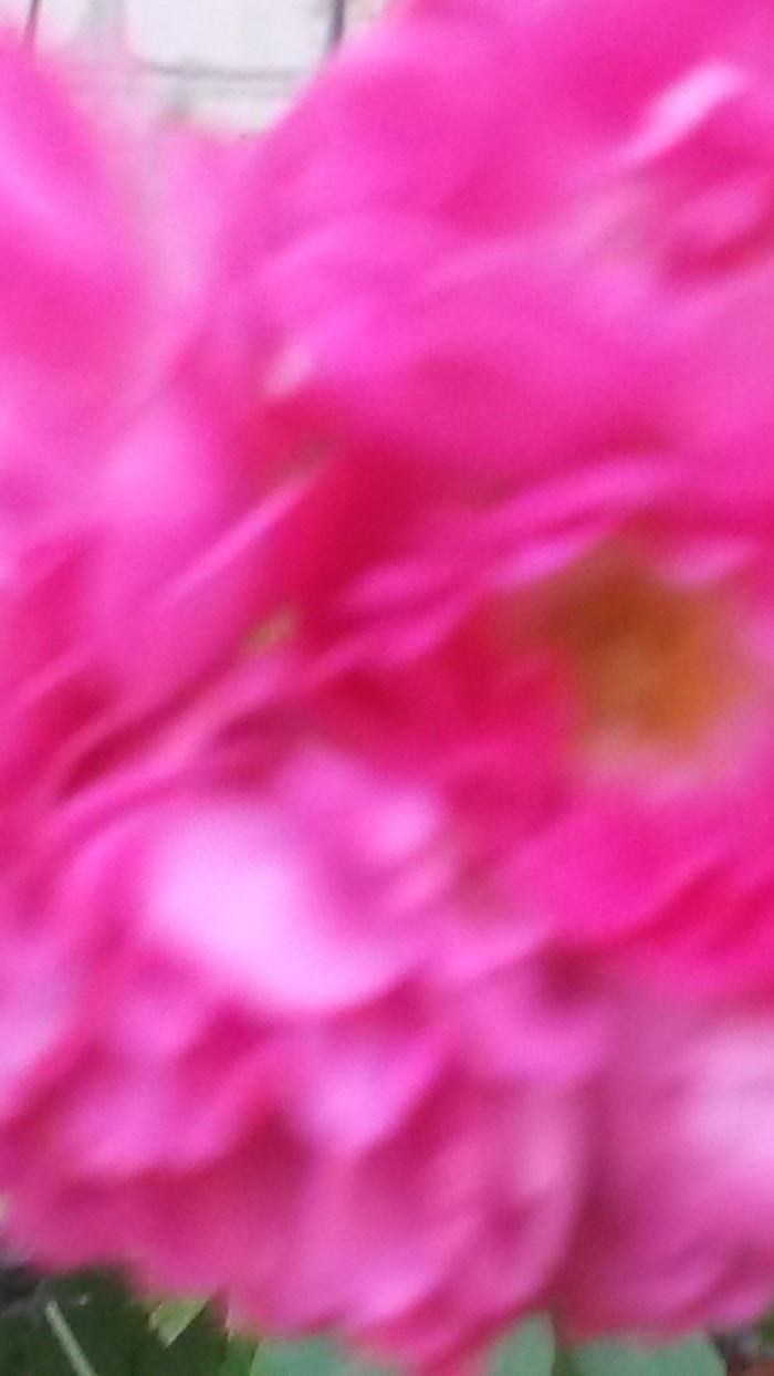  ,   , 