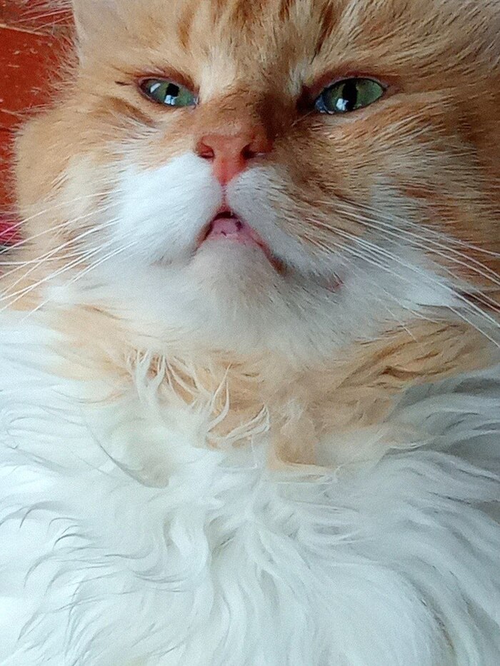     ,  -,    , ,  , , , ,  ,   