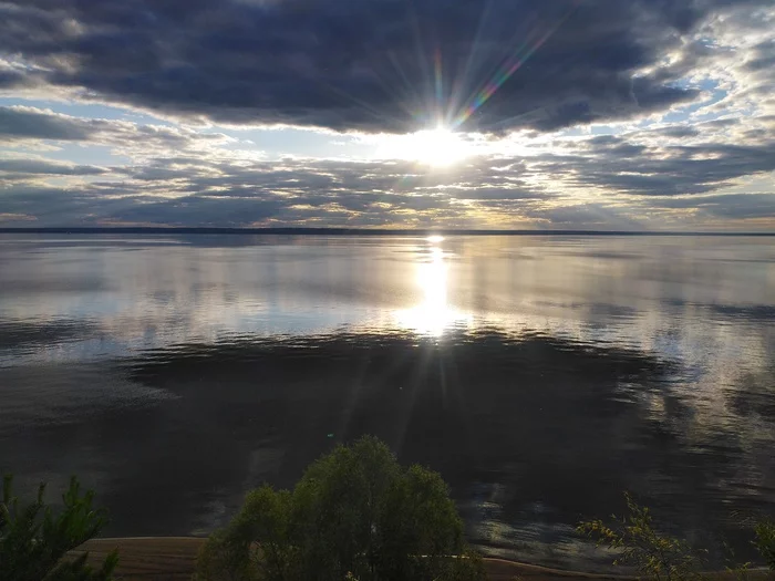 What do you see every day? - Dog, River, Volga river, Landscape, beauty, Nature, Alabai, Video, Vertical video, Longpost