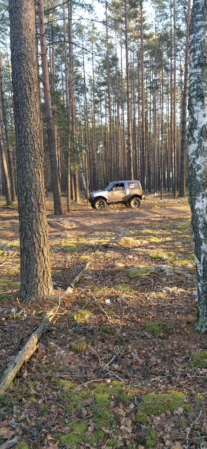 Autumn Walk - My, Suzuki jimny, Suzuki, SUV, Forest, Autumn, Longpost