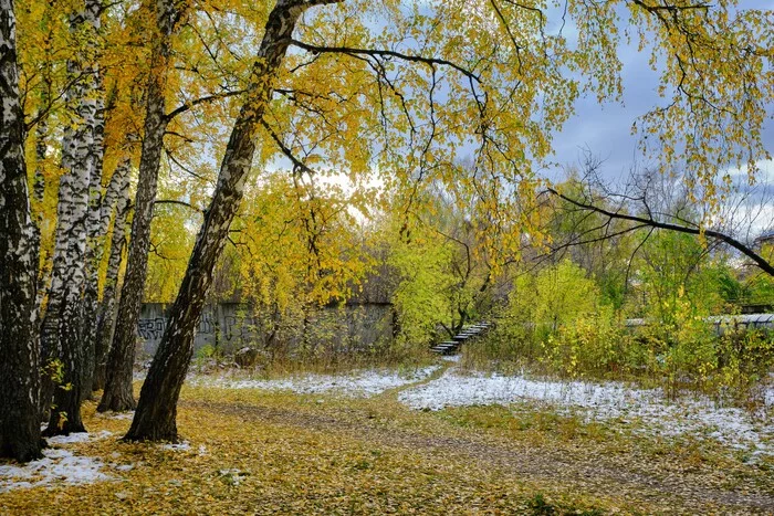 Are you Golden Autumn? - My, Fujifilm, Autumn, Landscape, The photo, Nature, Siberia