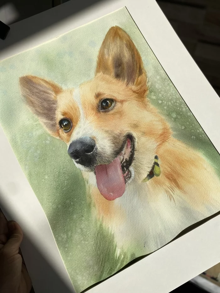 While everyone is stroking Manulov, a little corgi in your feed - My, Watercolor, Drawing, Corgi, Painting, Dog, Video, Vertical video, Longpost