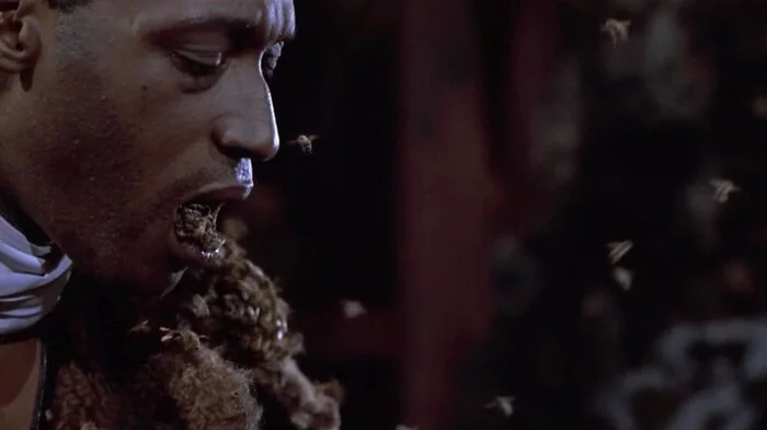 Special Effects - From the network, Movies, Bees, Candymen, Candyman