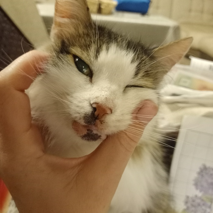 ������������� �����������