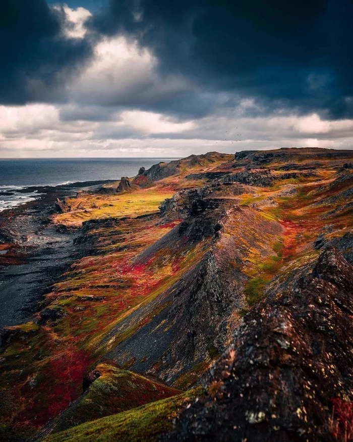 Autumn colors at Cape Kekursky - Murmansk region, Kola Peninsula, Cape Kekursky, Autumn, The nature of Russia, Travel across Russia, The photo