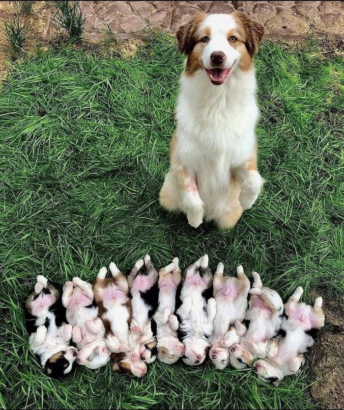 ������ ������)