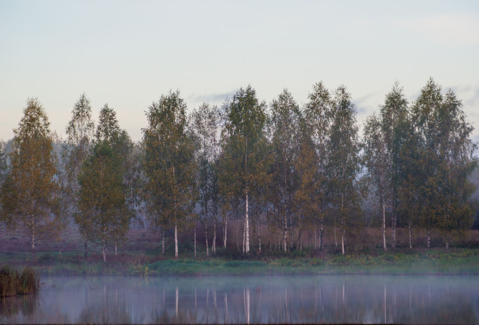 Утро туманное