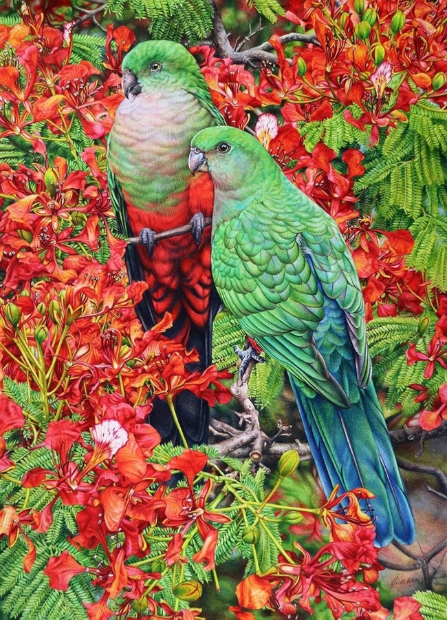 Heidi Willis - Drawing, Birds, Animalistics, Art, Art, Artist, Longpost