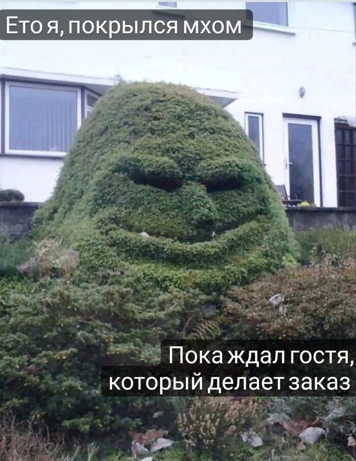 ����, ����� �� ������ ��� ��������