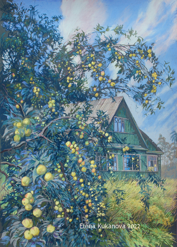Abandoned apple orchard near the Road of Life - My, Ladoga, Landscape, Saint Petersburg, Painting, Pastel, Outskirts, Garden, Summer, Artist, Graphics, Longpost