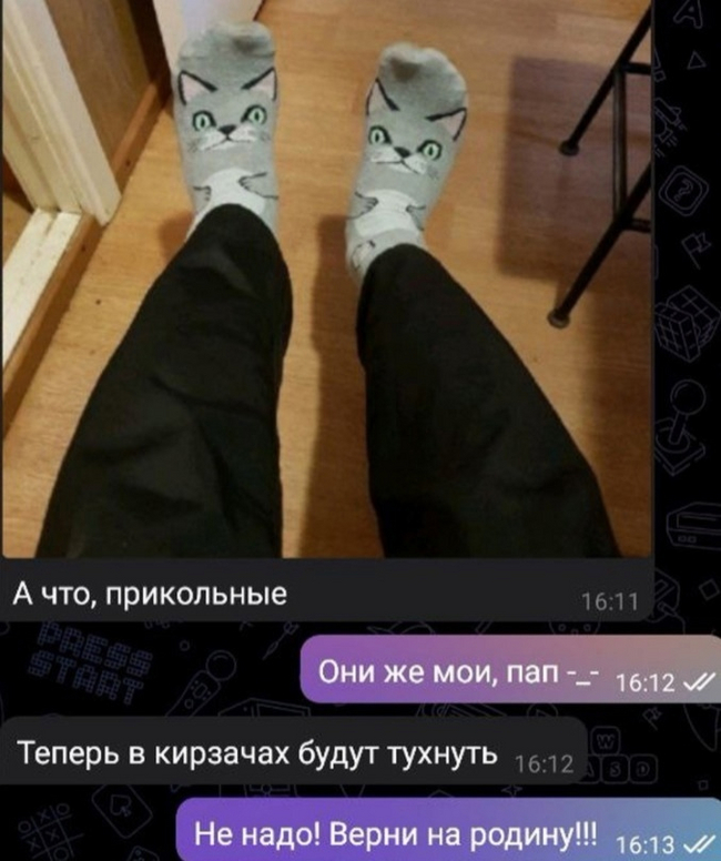 Return home! - Humor, Socks, Comments, Screenshot, Longpost