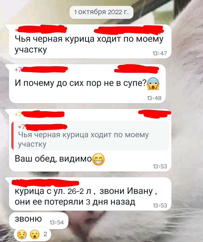 Дачные чаты прекрасны