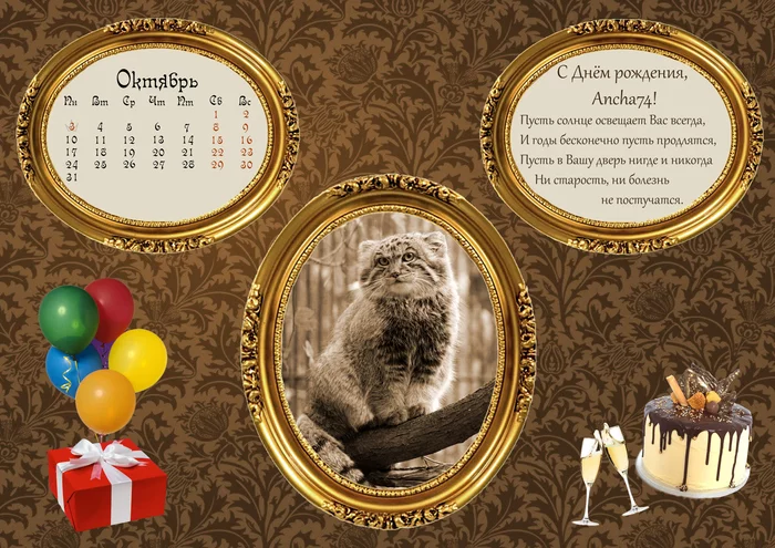 Happy birthday Ancha74! - Cat family, Small cats, Predatory animals, Pallas' cat, Fluffy, The calendar, Congratulation, Birthday