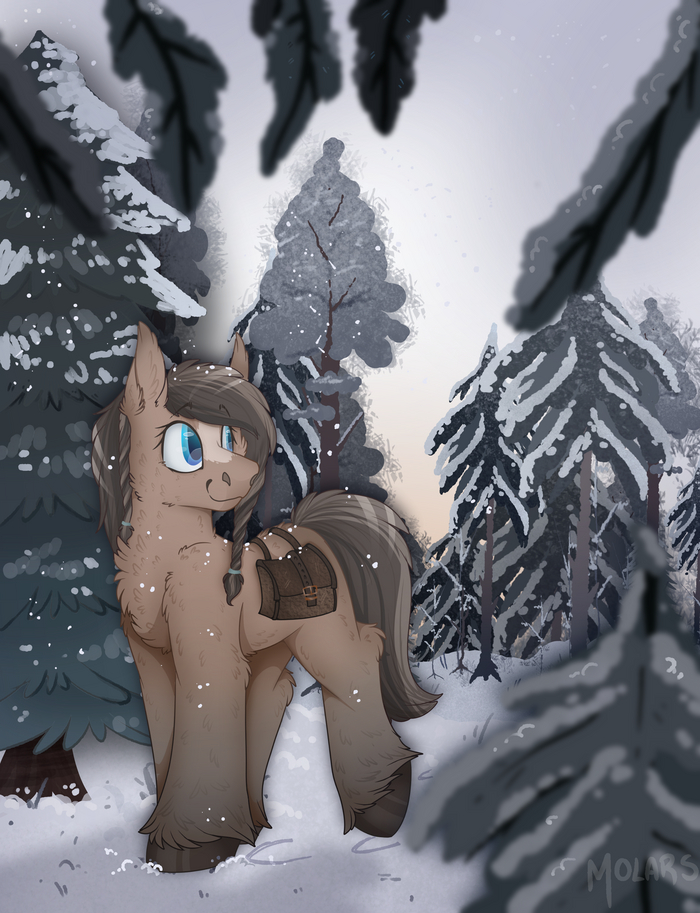    My Little Pony, Ponyart, Original Character, Snow Pony